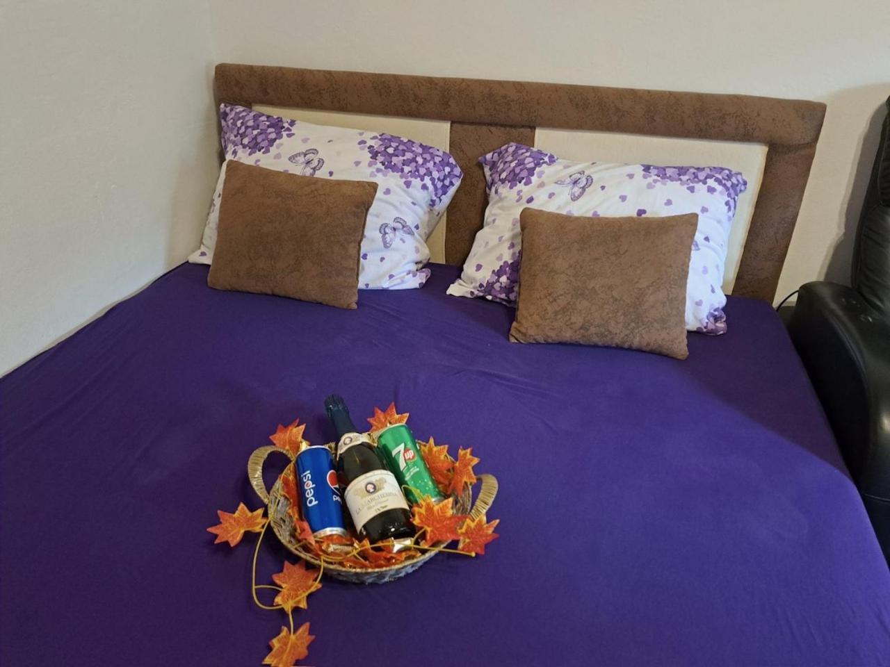 Apartman En Dusanovac Ngoại thất bức ảnh